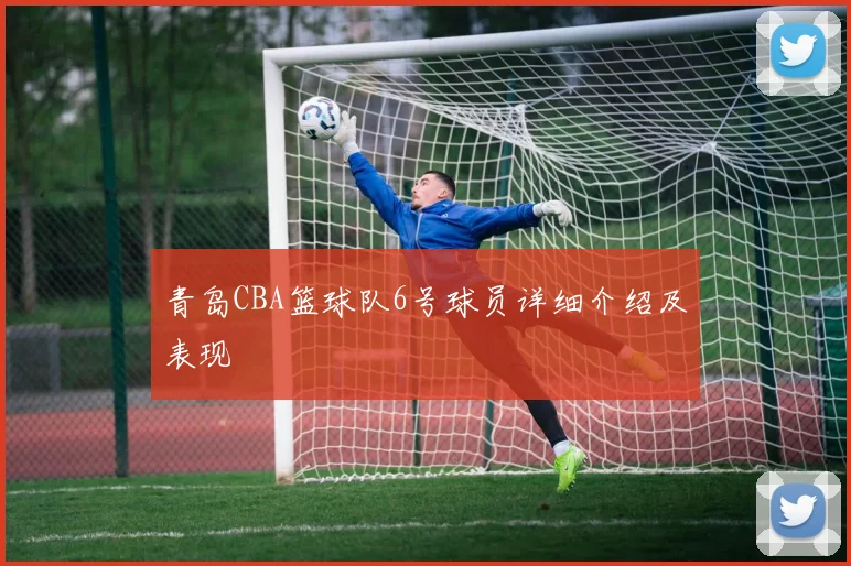 青岛CBA篮球队6号球员详细介绍及表现