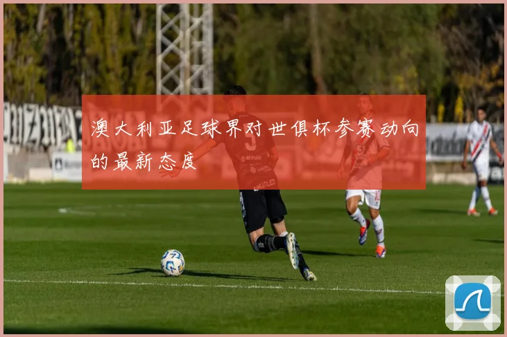 澳大利亚足球界对世俱杯参赛动向的最新态度