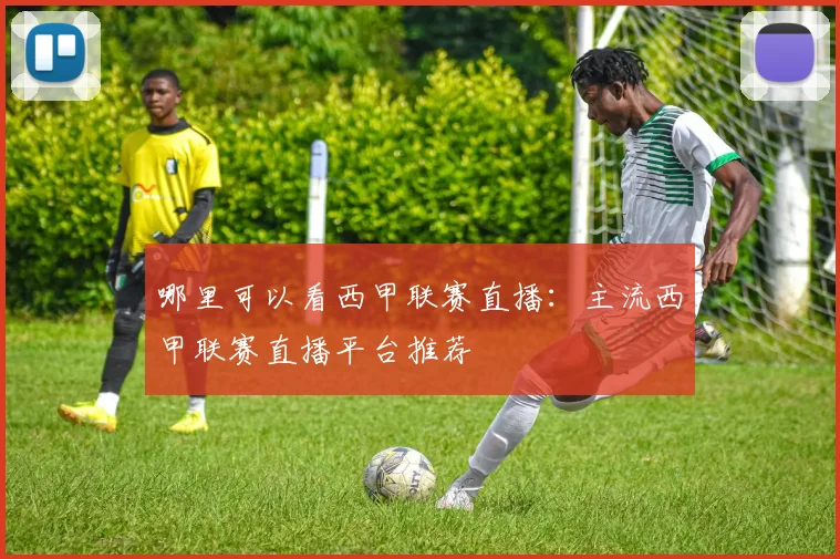 哪里可以看西甲联赛直播：主流西甲联赛直播平台推荐